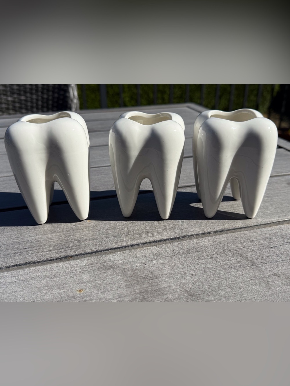 Tooth planters Set of 3